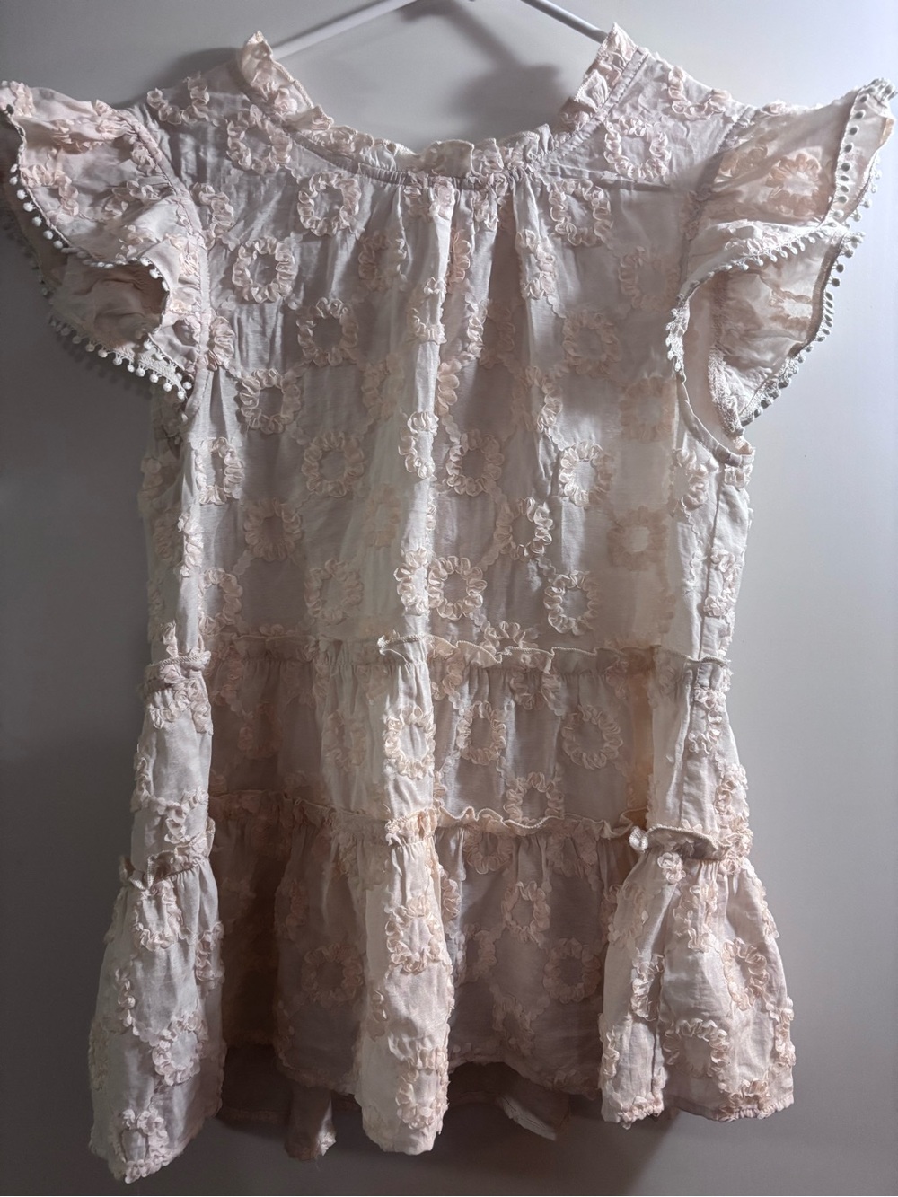 Embroidered Ruffle Flutter-Sleeve Blouse — Light Blush